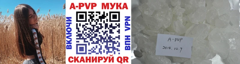 Альфа ПВП СК КРИС  Почеп 