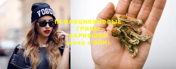 сатива Нефтекумск