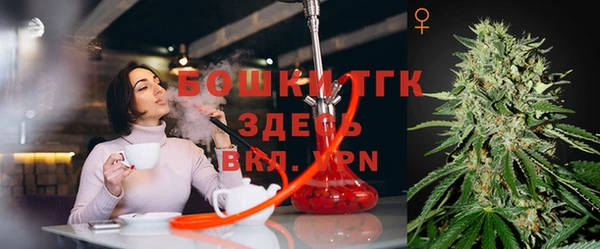 сатива Нефтекумск