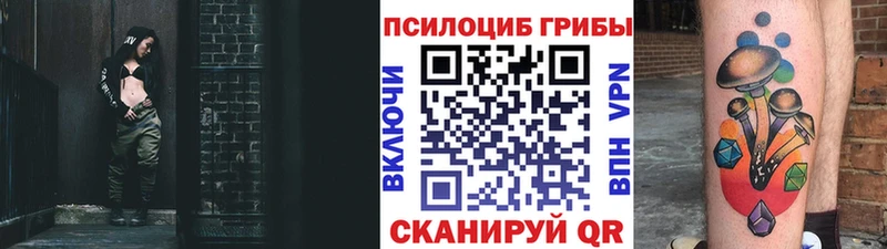 Псилоцибиновые грибы мицелий  Почеп 